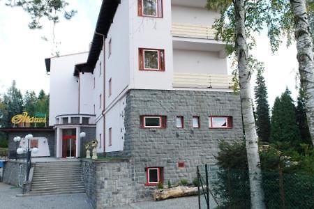 Hotel Manes Svratka Εξωτερικό φωτογραφία